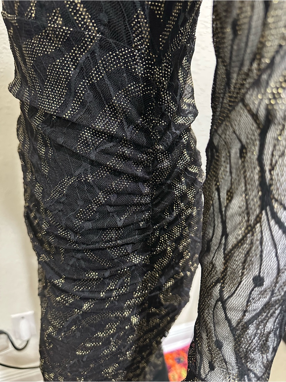 SEXY, DARING AND BOLD SHEER DRESS - Picture 14 of 16